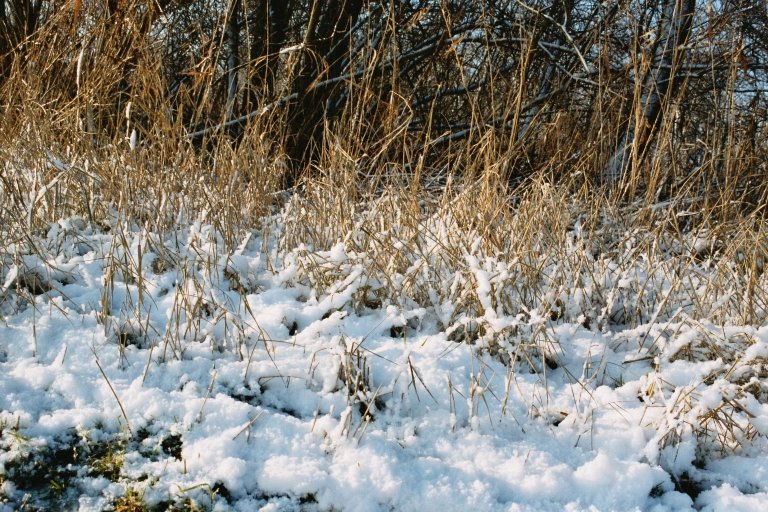 20040101 35 sneeuw